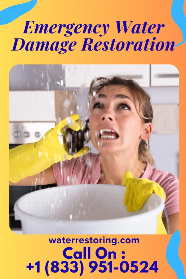 Emergency Water Damage Restoration in Chesterfield, IL