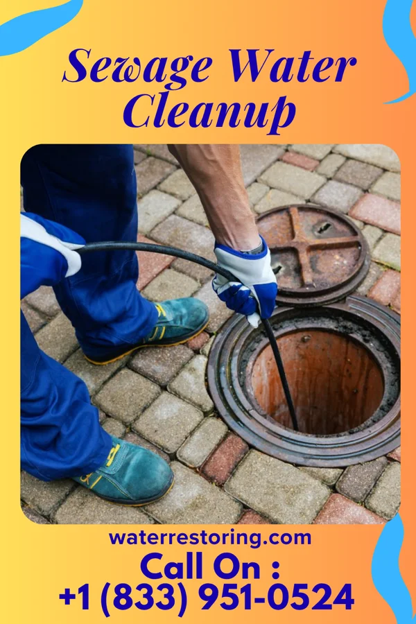 Sewage Water Cleanup in Chesterfield, IL