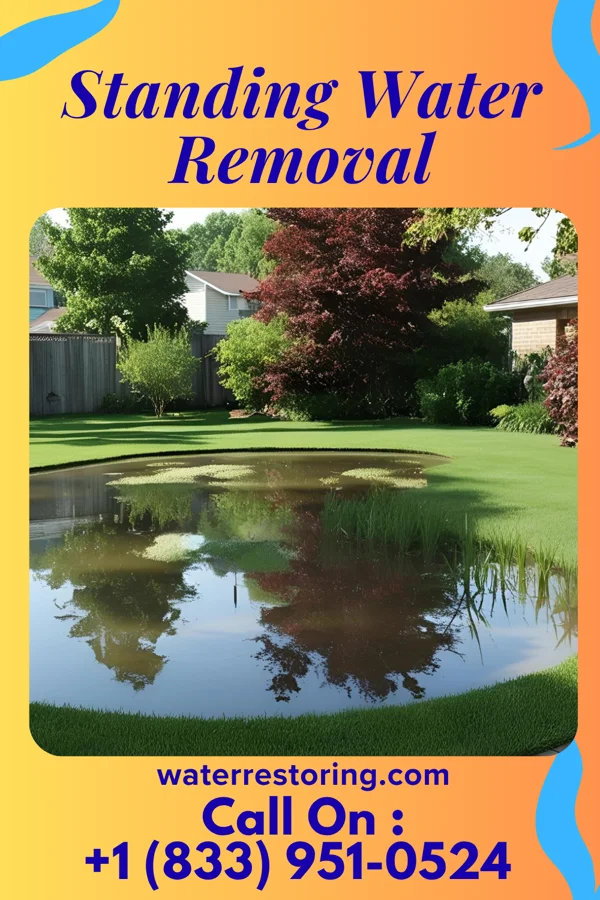 Standing Water Removal in Chesterfield, IL